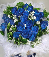 20 Blue roses