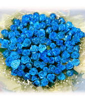 50 Blue roses