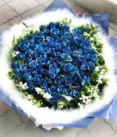 101 Blue roses