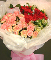 A dozen of carnations with double color,20 red carnations