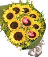 9 Sunflowers